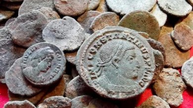 Photo of Голодный испанский барсук откопал клад времен римской эпохи