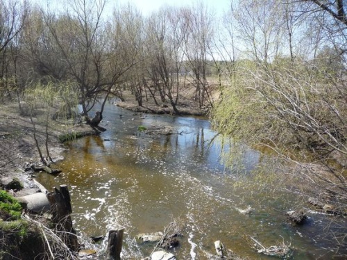 Photo of В Киеве река Сырец стала зеленой. Сегодня возьмут пробу воды