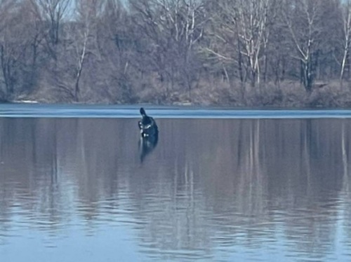 Photo of В Киеве ПВО уничтожила ракету рашистов, остатки упали в Днепр