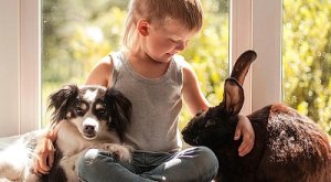 Животное и ребенок - исследование ученных