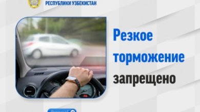 Photo of Что грозит водителю в Узбекистане за резкое торможение без причины?