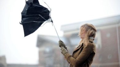 Photo of Сильные порывы ветра и гроза: в Киеве резко изменится погода