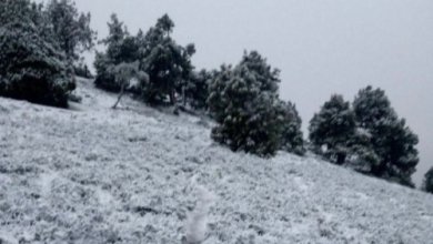 Photo of В Узбекистане выпал снег