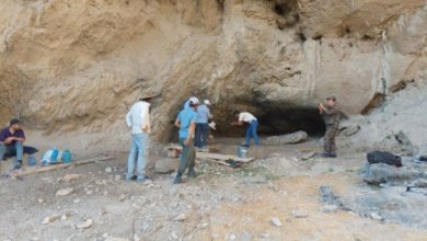 Photo of В Сурхандарье обнаружена пещерная стоянка неандертальцев