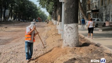 Photo of Улица Чиланзар: выживут ли деревья и будет ли усвоен урок?