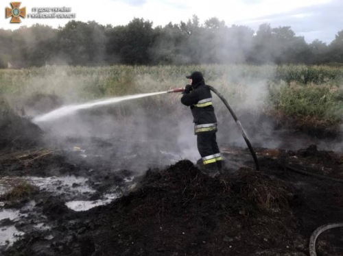 Photo of Воздух в столице в хорошем состоянии, несмотря на пожары на торфяниках под Киевом