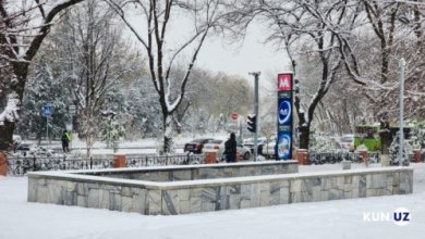 Photo of Власти Ташкента запустили портал для голосования по названиям для станций метро