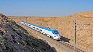 Photo of В социальных сетях распространилось видео, где высокоскоростной поезд «Afrosiyob» сбивает овец, пересекающих железную дорогу