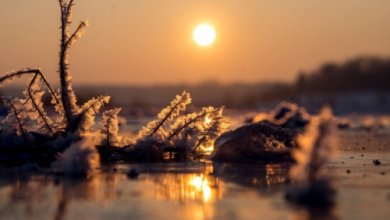 Photo of В Ташкенте ожидается повышение температуры воздуха до +7 градусов