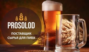 Дрожжи для верхового брожения: какие штаммы подходят