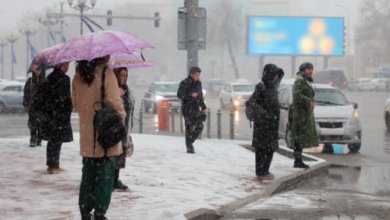 Photo of Численность населения Ташкента достигла почти 3 млн человек