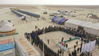 Photo of На высохшем дне Аральского моря начался очередной сезон лесоразведения