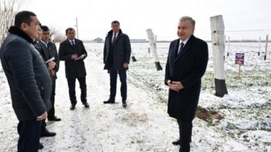 Photo of Президент уточнил, почему земли отдали кластерам