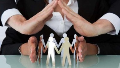 Photo of Принята программа образования в области прав человека