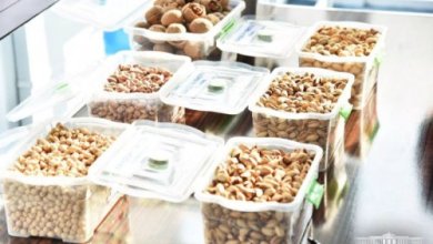 Photo of Совместно с Сербией и Турцией будут созданы научные центры семеноводства и фисташководства