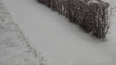 Photo of Стало известно, когда в Узбекистане снова похолодает