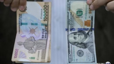 Photo of Сум укрепился ко всем основным валютам, кроме британского фунта