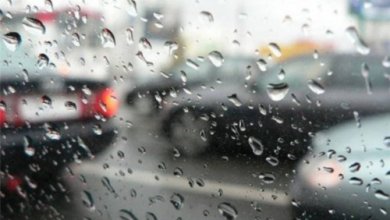 Photo of В Ташкенте продолжится дождь