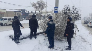 Photo of В Узбекистане поддержат людей, работавших во время аномальных холодов