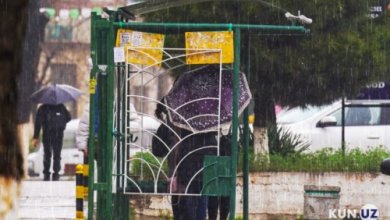 Photo of Во многих регионах Узбекистана ожидаются дожди и грозы