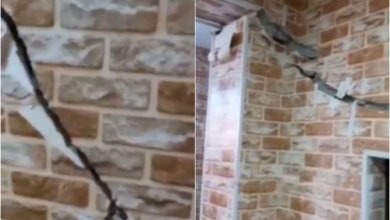 Photo of Застройщик, продавший в Ташкенте жилой дом, у которого треснули стены, находится в заключении