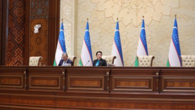 Photo of Нарбаева заявила, что в законодательстве отсутствует понятие «домашнее насилие» и не установлены меры ответственности 