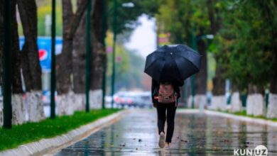 Photo of Дождь, гроза и град: синоптики рассказали о погоде на завтра