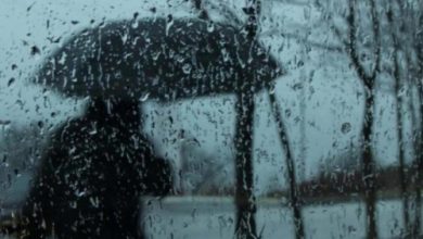 Photo of В Ташкенте снова ожидается дождь